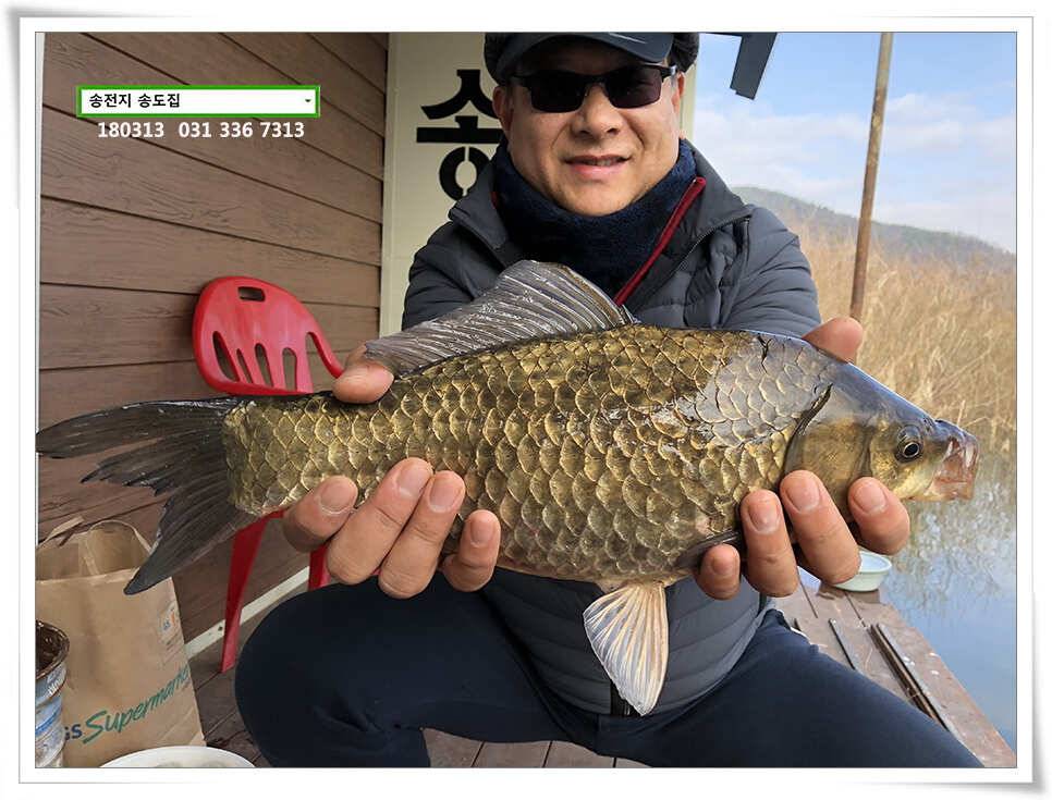 42cm 송전지 송도집 좌대 조황 (유료터정보 - 유료터점주조황)