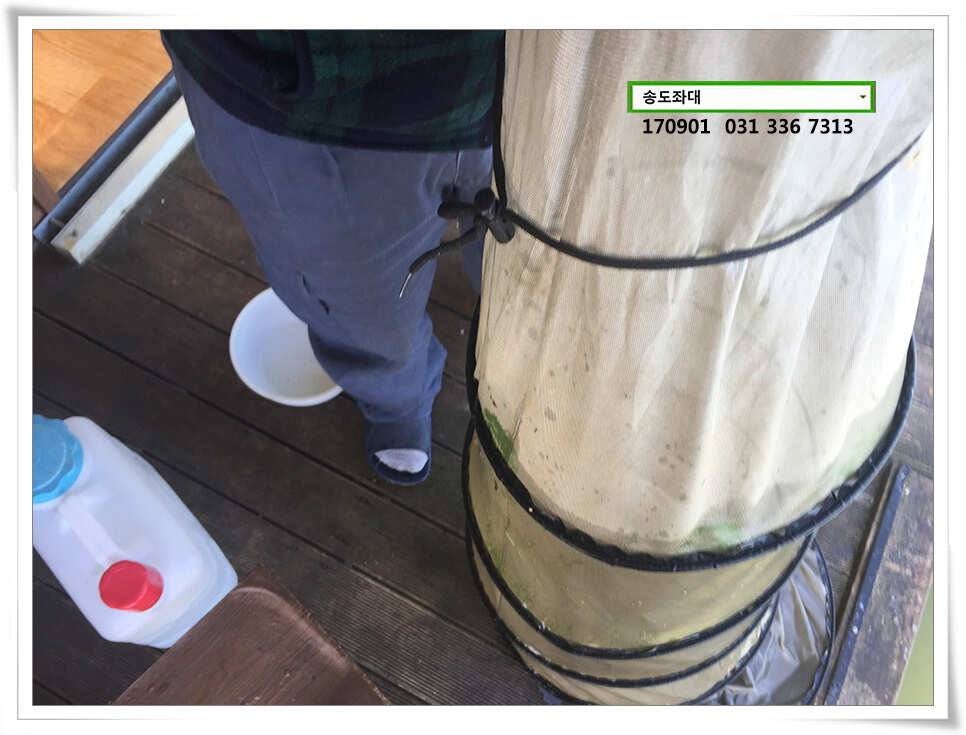 415cm 송전지 송도집 좌대 조황 (유료터정보 - 유료터점주조황)