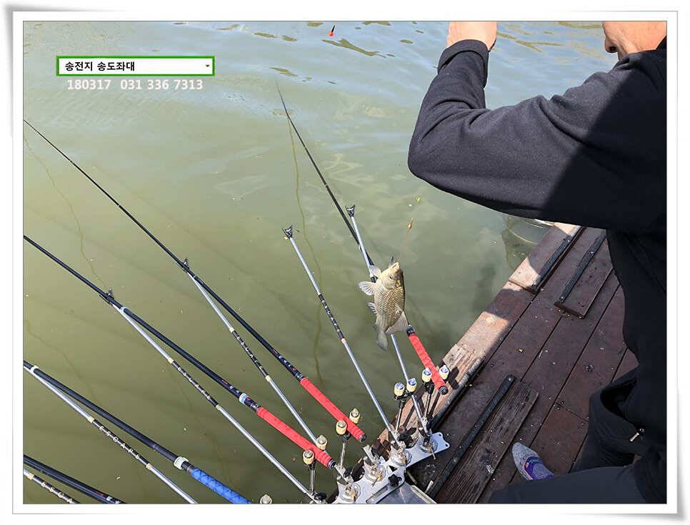 대물스멜 송도집 조황 (유료터정보 - 유료터점주조황)