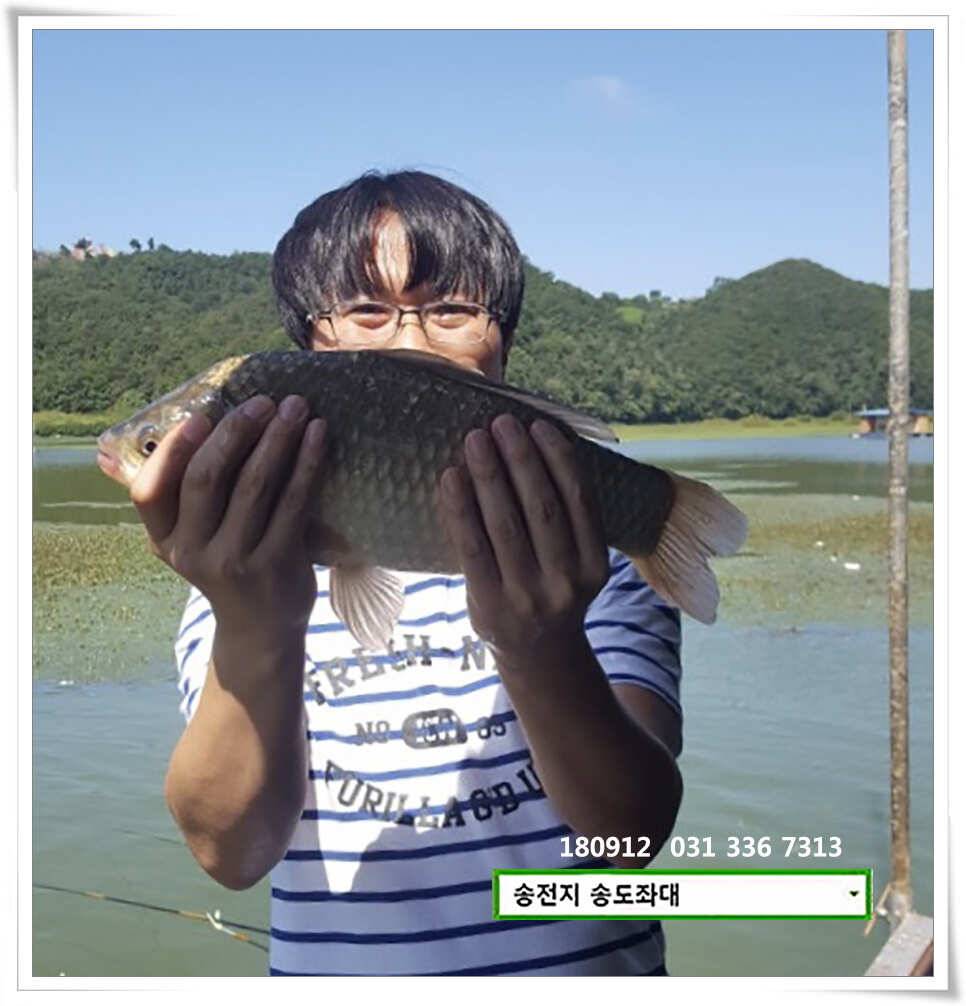 여름 반 가을 반 (유료터정보 - 유료터점주조황)