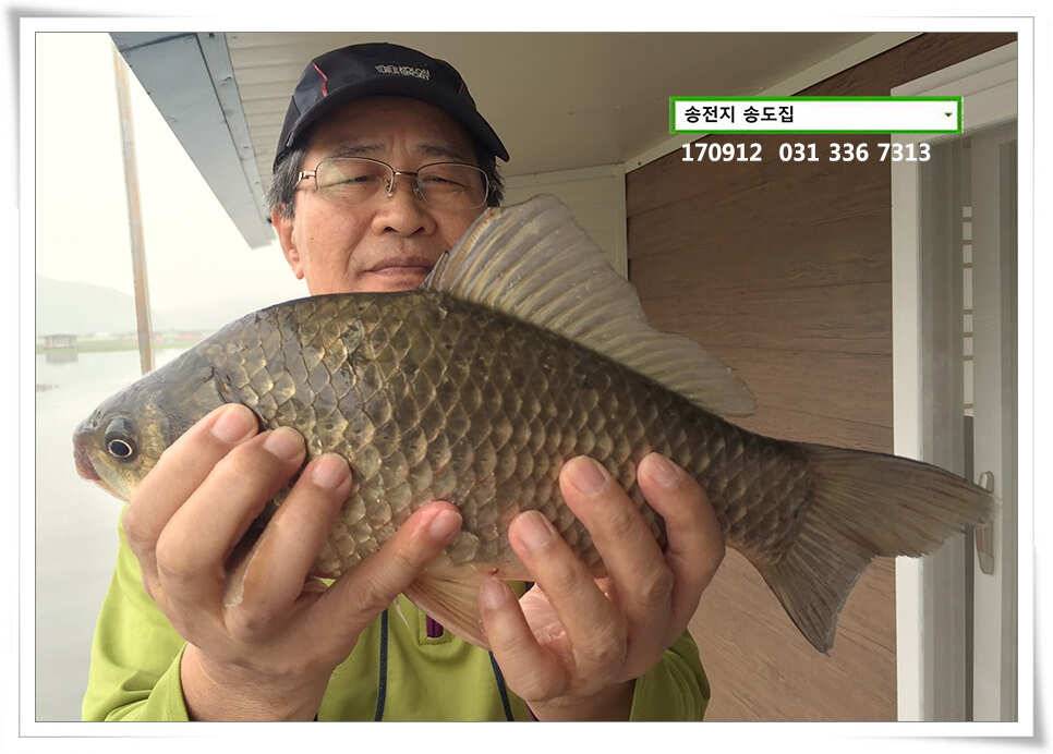 초가을에송전낚시터 송도좌대 조황 (유료터정보 - 유료터점주조황)