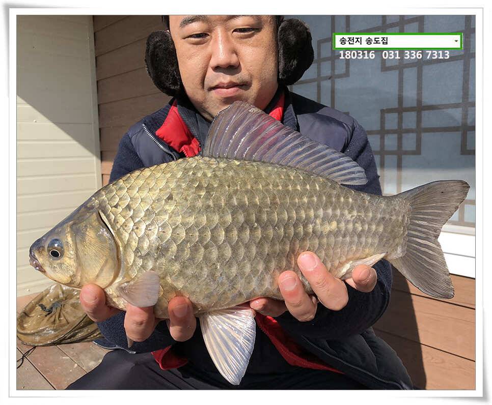 대물스멜 송도집 조황 (유료터정보 - 유료터점주조황)
