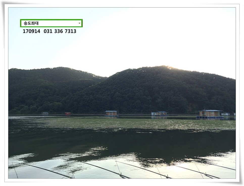 일교차 주의송전지 송도집 좌대 조황 (유료터정보 - 유료터점주조황)