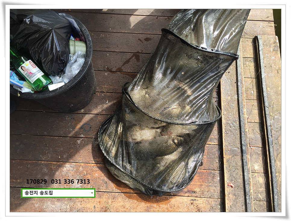 선선함 잇는송전지 송도 좌대 조황 (유료터정보 - 유료터점주조황)