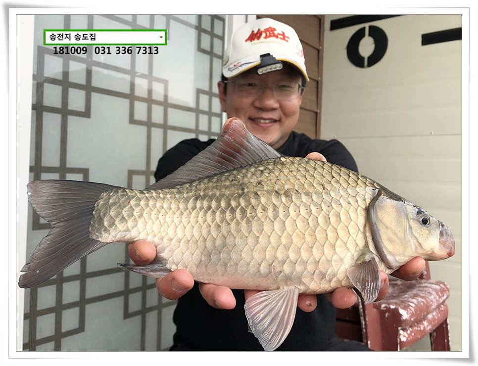이어진 오름장 (유료터정보 - 유료터점주조황)