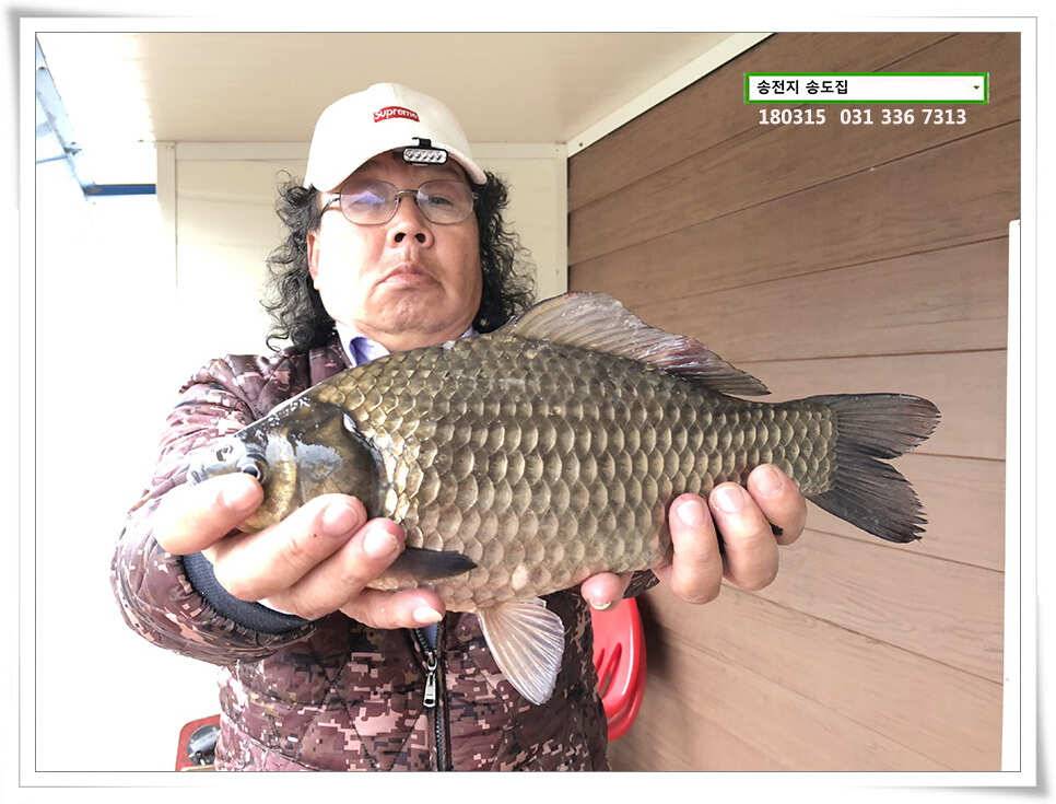 비와 대물의 이야기 송전지 송도집 좌대 조황 (유료터정보 - 유료터점주조황)