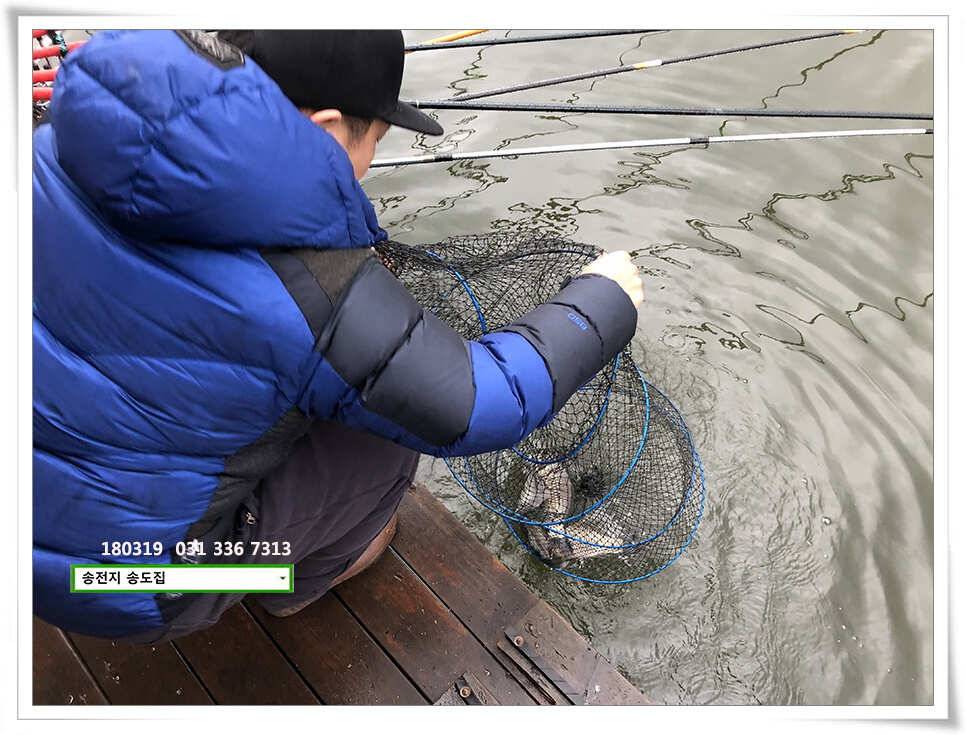 끄물끄물함에 대물 송전지 송도집 조황 (유료터정보 - 유료터점주조황)