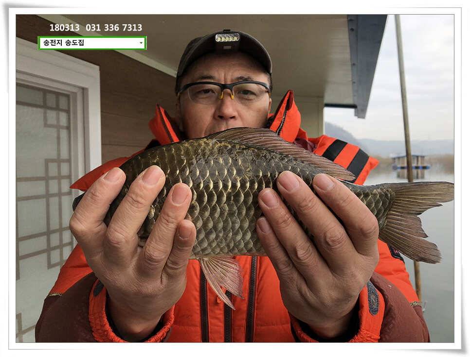 42cm 송전지 송도집 좌대 조황 (유료터정보 - 유료터점주조황)