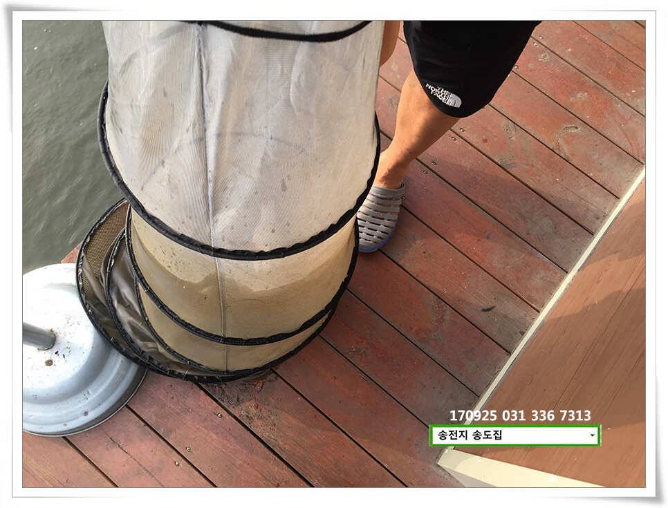 송전지 송도집 좌대 조황 (유료터정보 - 유료터점주조황)