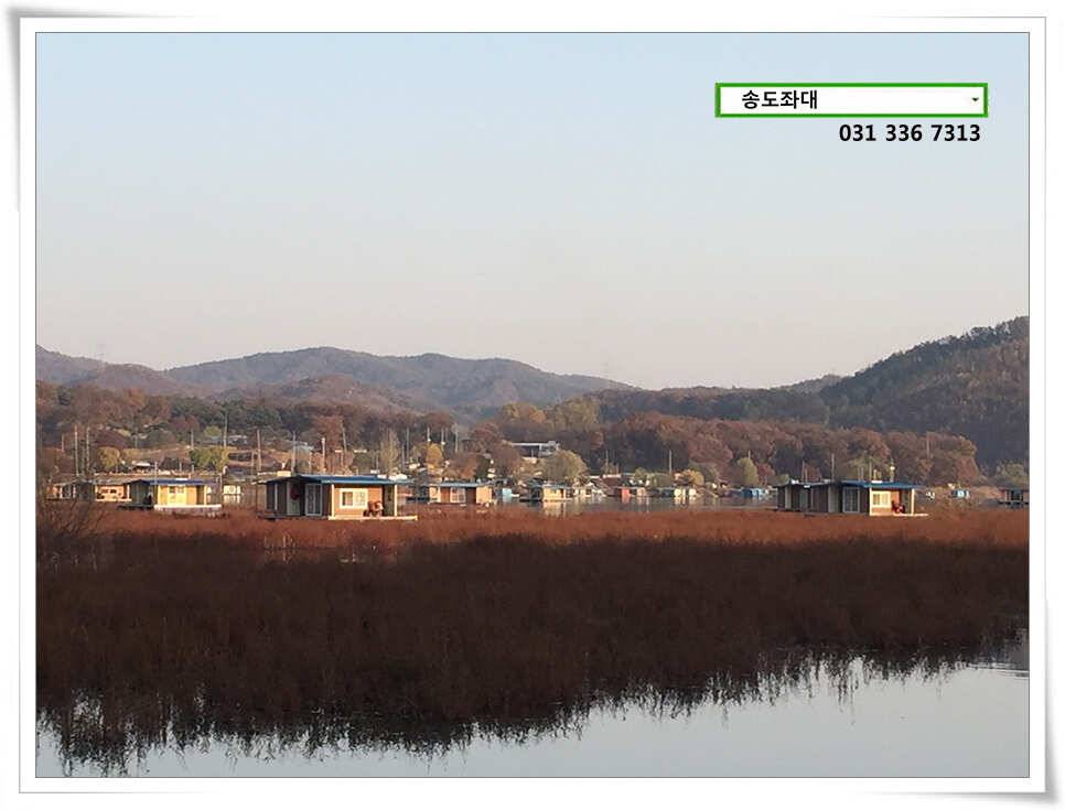 송전지 송도 좌대 조황 (유료터정보 - 유료터점주조황)