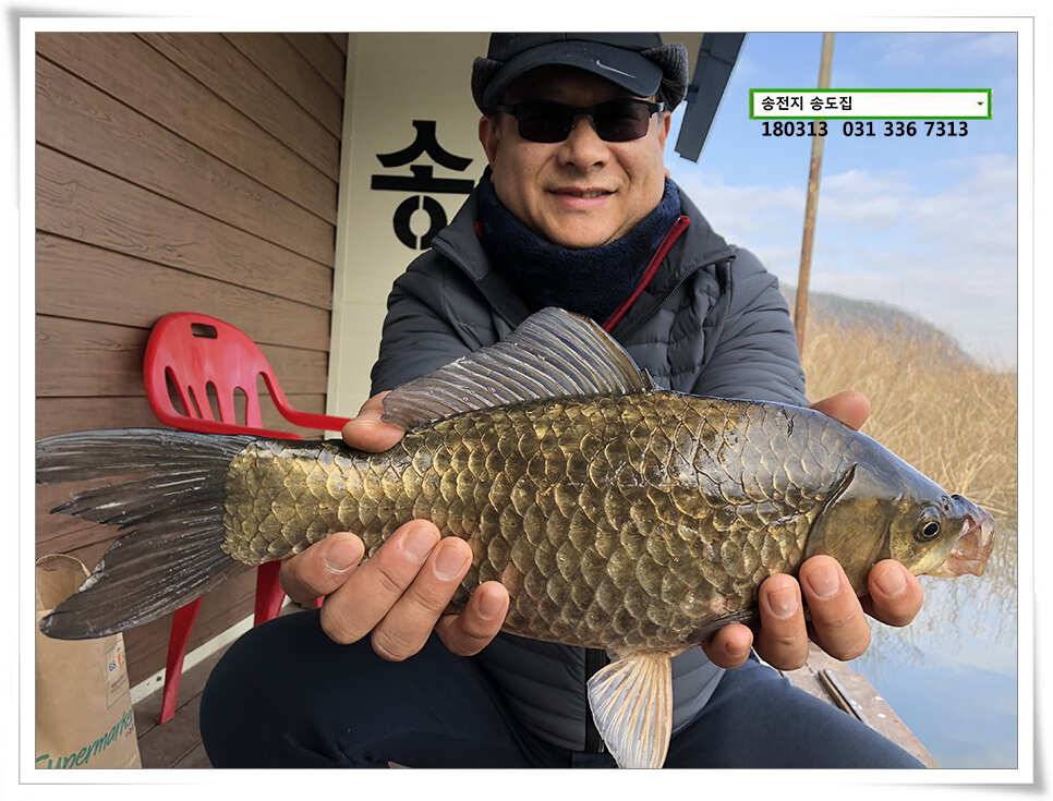42cm 송전지 송도집 좌대 조황 (유료터정보 - 유료터점주조황)