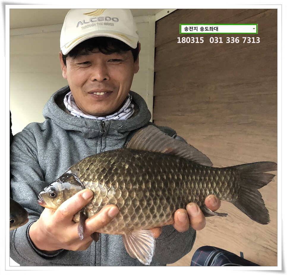 비와 대물의 이야기 송전지 송도집 좌대 조황 (유료터정보 - 유료터점주조황)
