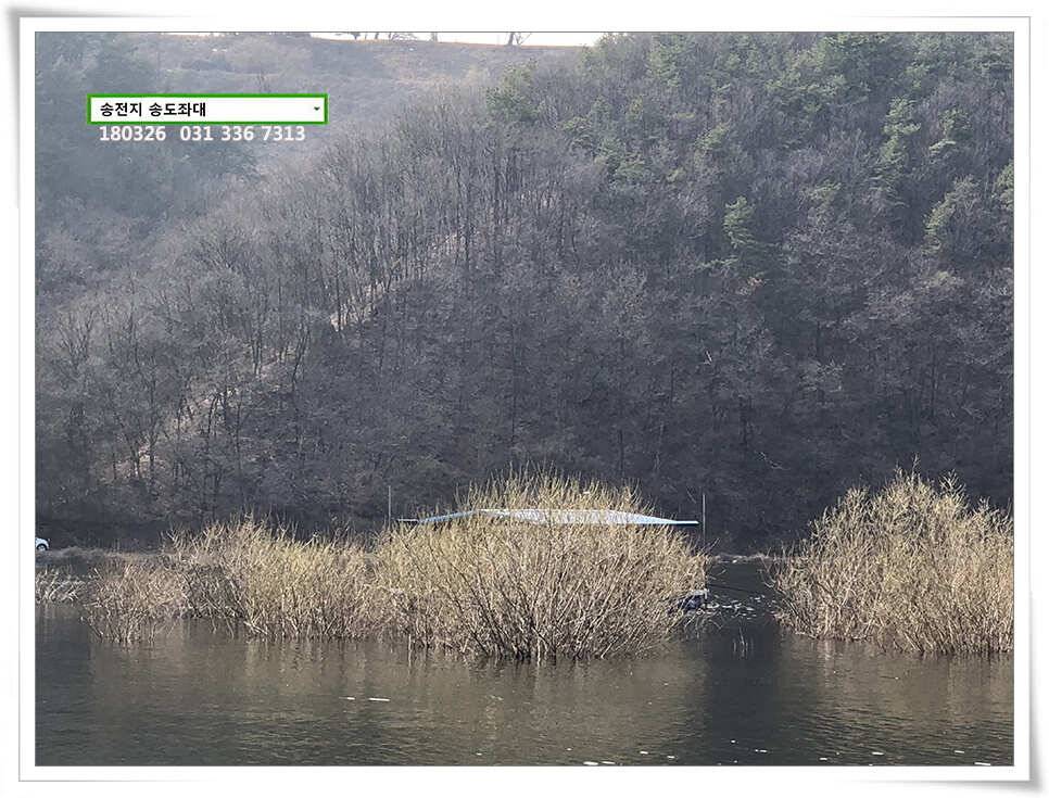 몸치레 준비중 송전지 송도집 좌대 조황 (유료터정보 - 유료터점주조황)