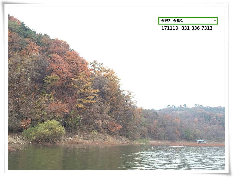 송전지 송도좌대 조황 (유료터정보 - 유료터점주조황)