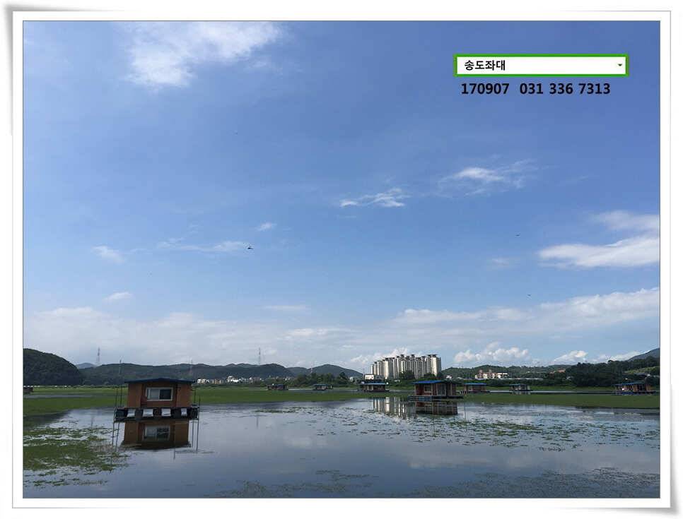 흩뿌린 비에송전지 송도좌대 조황 (유료터정보 - 유료터점주조황)