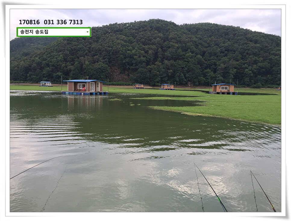 용인송전지 송도좌대 조황 (유료터정보 - 유료터점주조황)