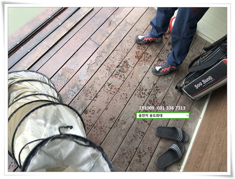 이어진 오름장 (유료터정보 - 유료터점주조황)