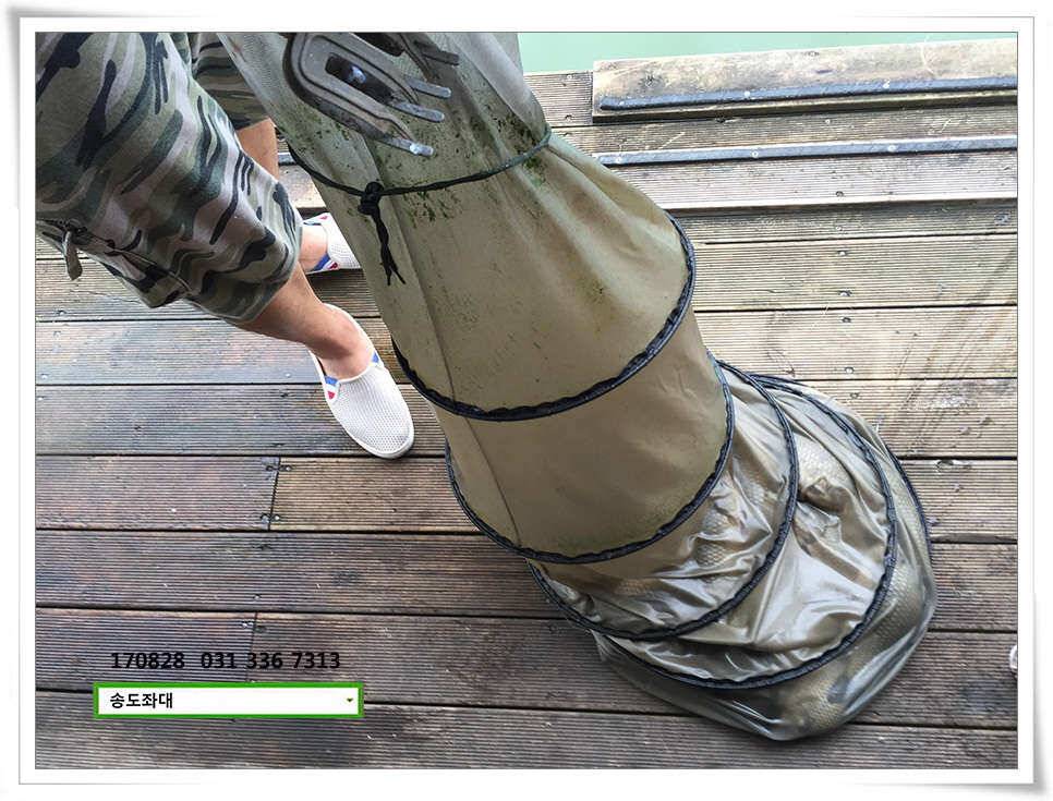 안정된 여건송전지 송도좌대 조황 (유료터정보 - 유료터점주조황)