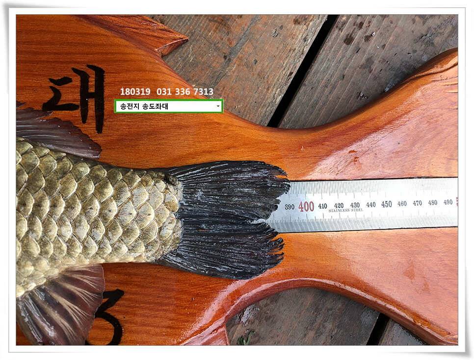 끄물끄물함에 대물 송전지 송도집 조황 (유료터정보 - 유료터점주조황)