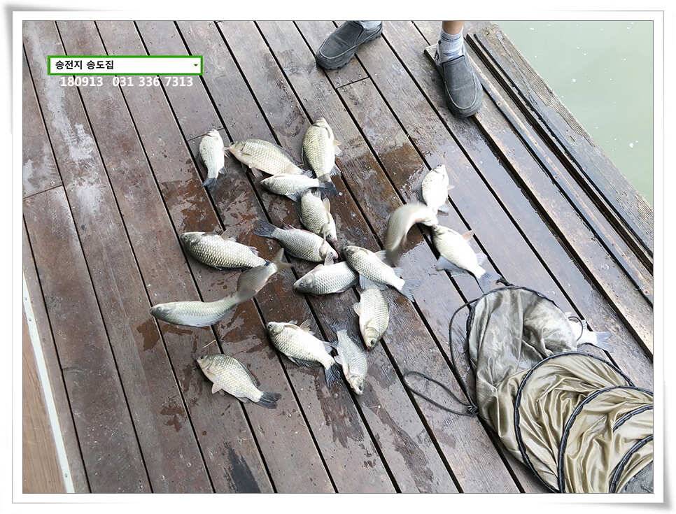 fish_pay_f235d_111002_70731.jpg
