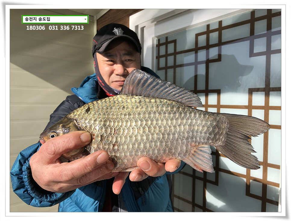 18 시즌 첫 4짜송전지 송도집 조황 (유료터정보 - 유료터점주조황)