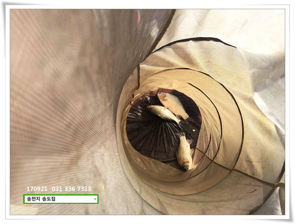 위치변경송전지 송도 좌대 조황 (유료터정보 - 유료터점주조황)