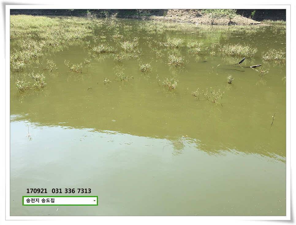 위치변경송전지 송도 좌대 조황 (유료터정보 - 유료터점주조황)