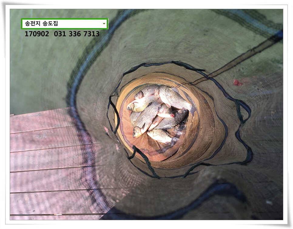 송전지 송도좌대 조황 (유료터정보 - 유료터점주조황)