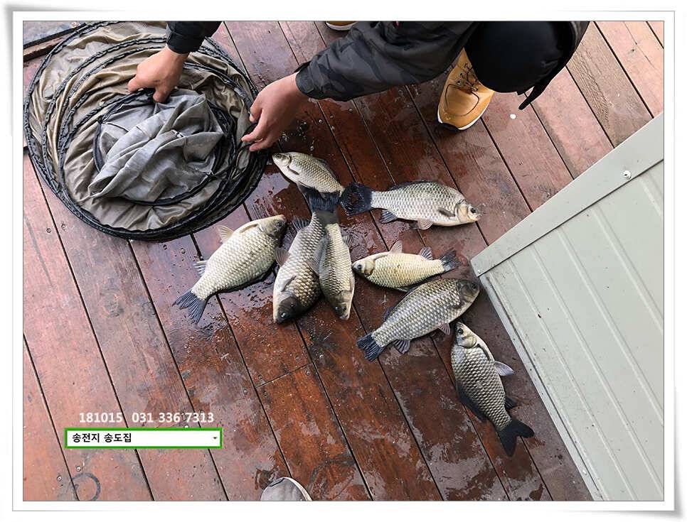 가을 첫 4짜 (유료터정보 - 유료터점주조황)