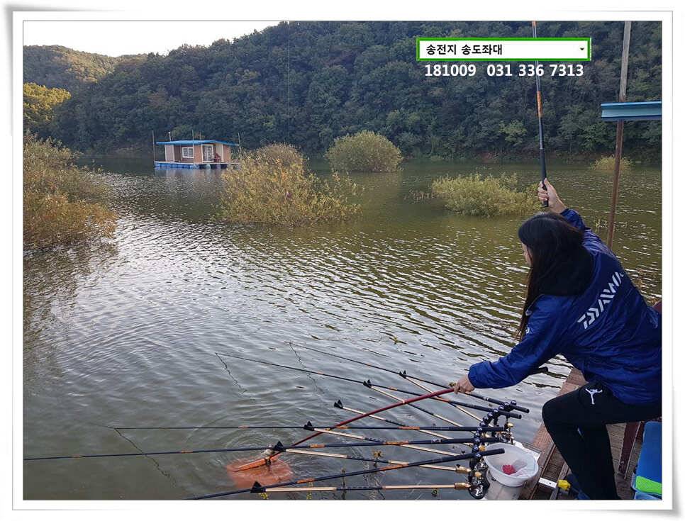 이어진 오름장 (유료터정보 - 유료터점주조황)