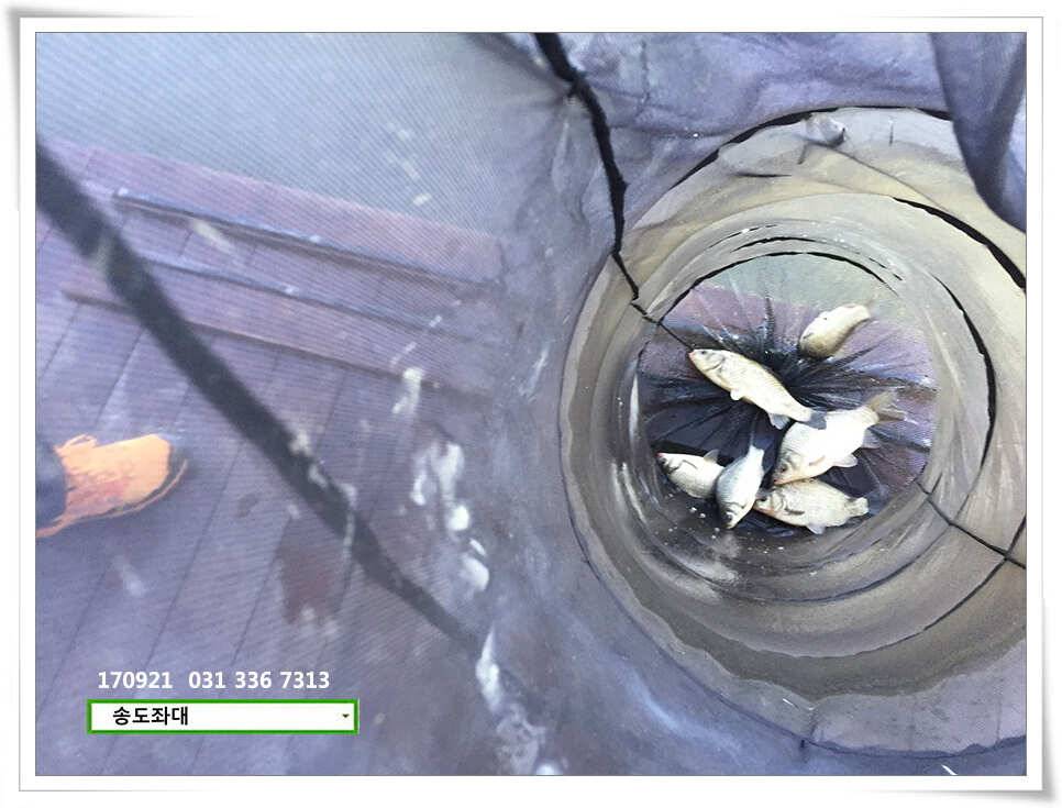 위치변경송전지 송도 좌대 조황 (유료터정보 - 유료터점주조황)