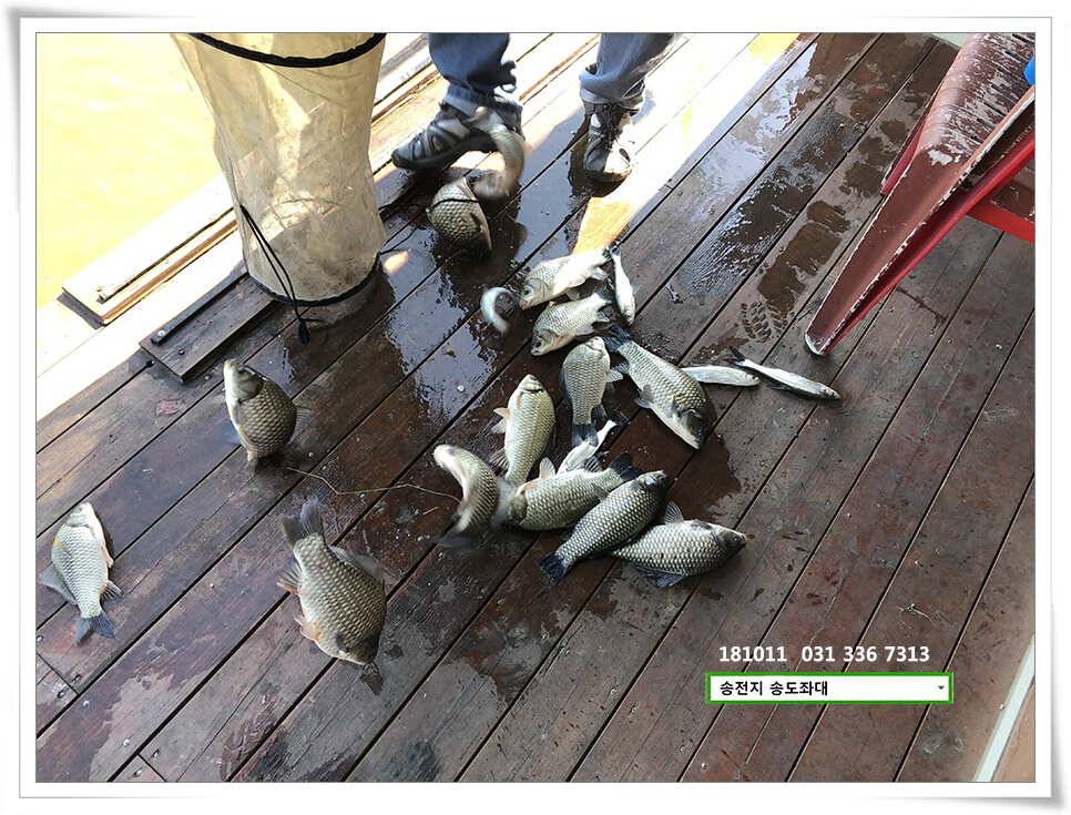 fish_pay_ffa43_102046_31418.jpg