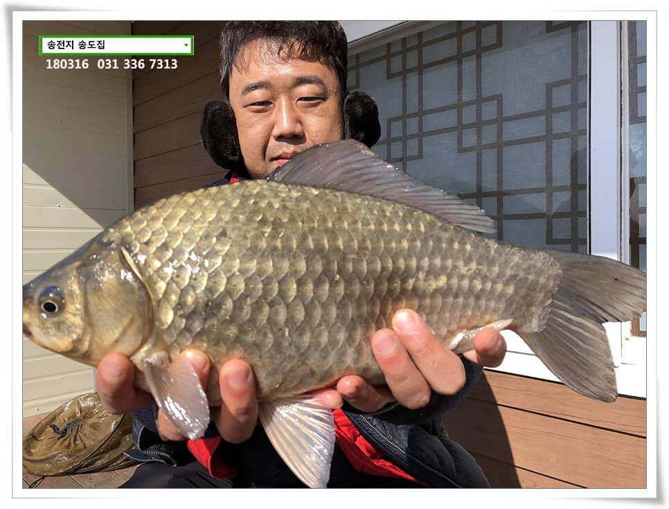 대물스멜 송도집 조황 (유료터정보 - 유료터점주조황)