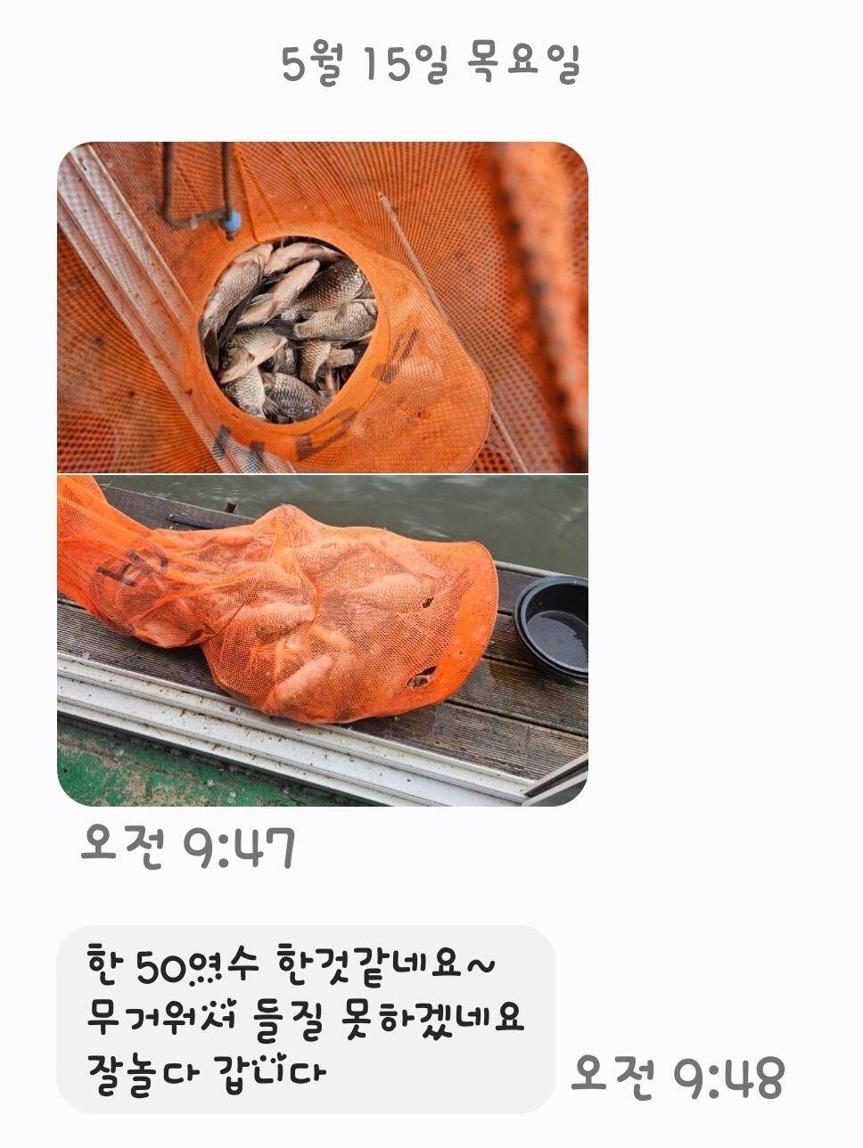 용담낚시터사암지 5월 둘째주 조황정보 (유료터정보 - 유료터점주조황)