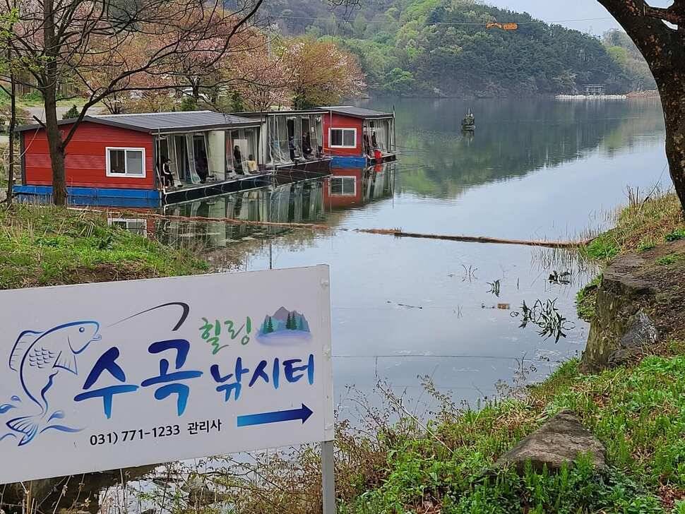힐링 양평 수곡낚시터 주중주말 조황 및 붕어방류 안내 (유료터정보 - 유료터점주조황)