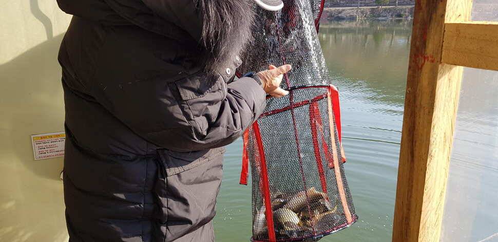 힐링 양평 수곡낚시터 4짜 대물붕어주중조황 및 붕어방류수상좌대 할인요금 안내 (유료터정보 - 유료터점주조황)