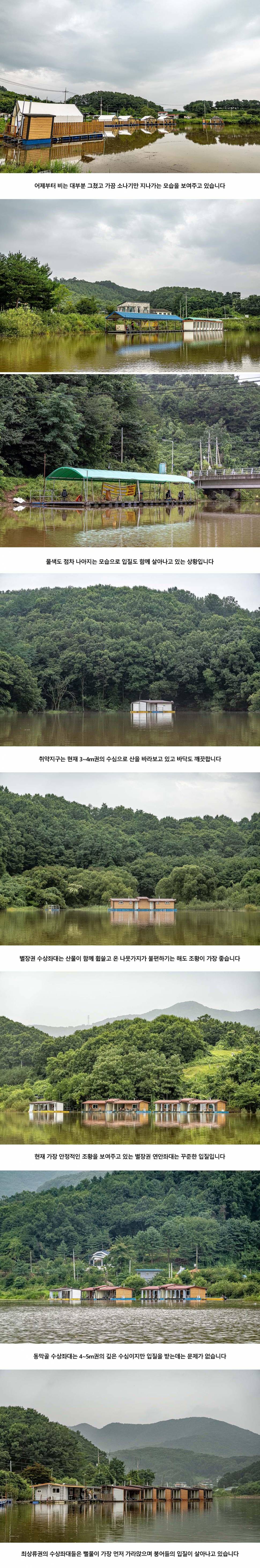 안성 두메낚시터 8월 5일 조황정보 (유료터정보 - 유료터점주조황)