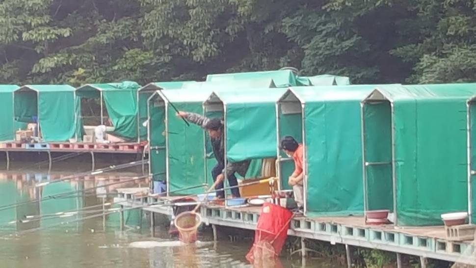 경주 동산낚시터붕어전용잡이터지난주 조황 (유료터정보 - 유료터점주조황)