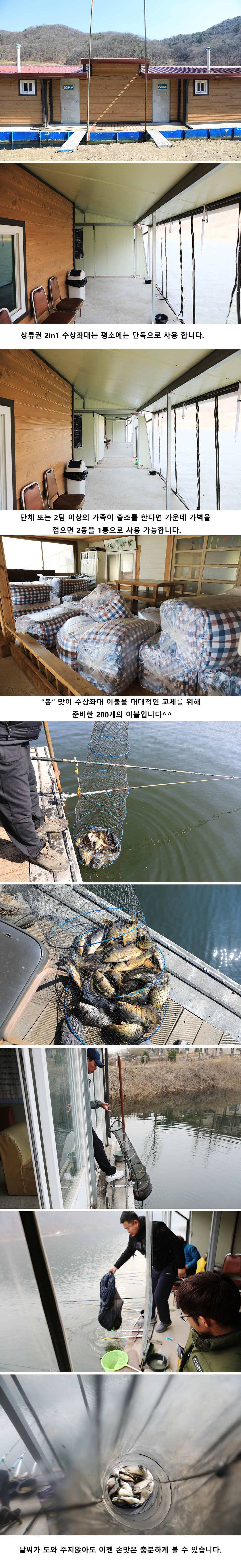 안성 두메낚시터 3월22일 조황안내 (유료터정보 - 유료터점주조황)
