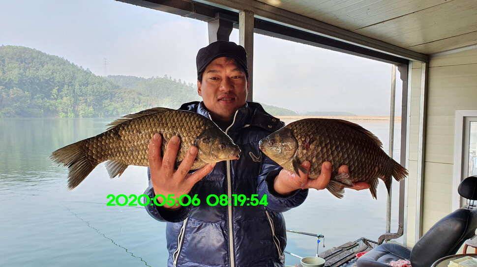 신원낚시터5월15일 토종대물 덩어리 사진입니다 (유료터정보 - 유료터점주조황)