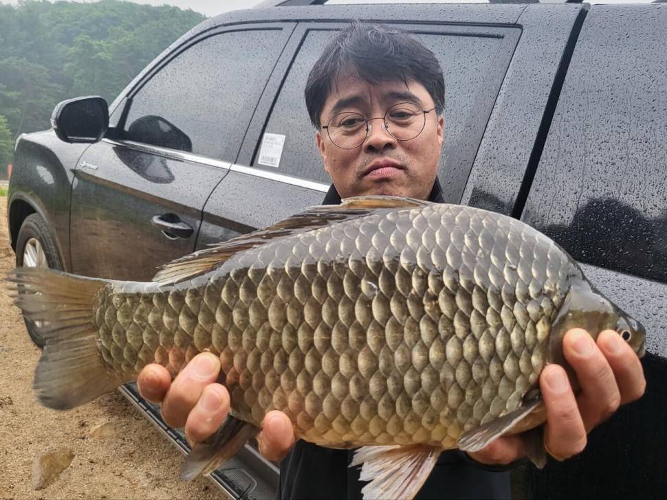 대물4짜 조황 및 방류소식 (유료터정보 - 유료터점주조황)