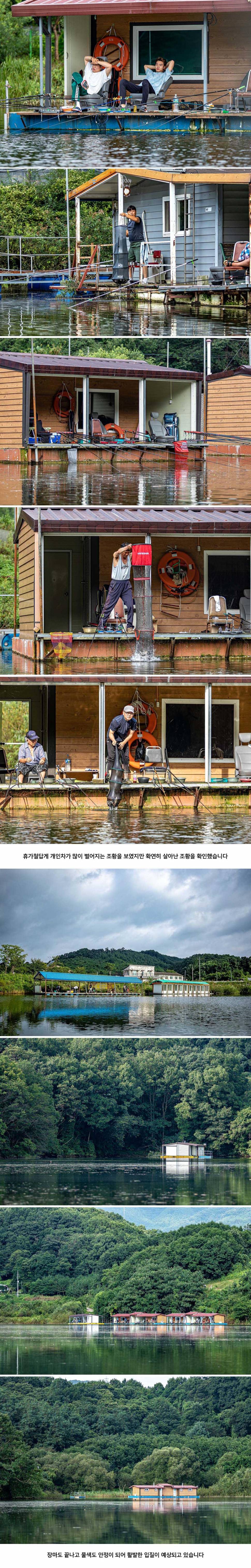 안성 두메낚시터 8월 16일 조황정보 (유료터정보 - 유료터점주조황)