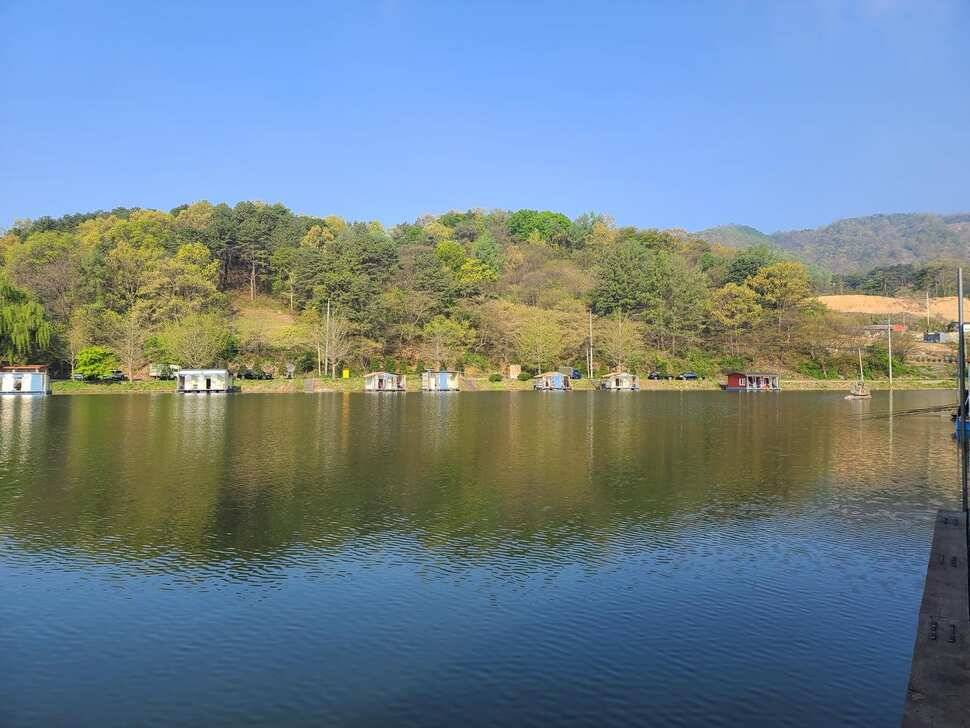 양평 수곡낚시터 주말 조황 붕어방류 안내 (유료터정보 - 유료터점주조황)