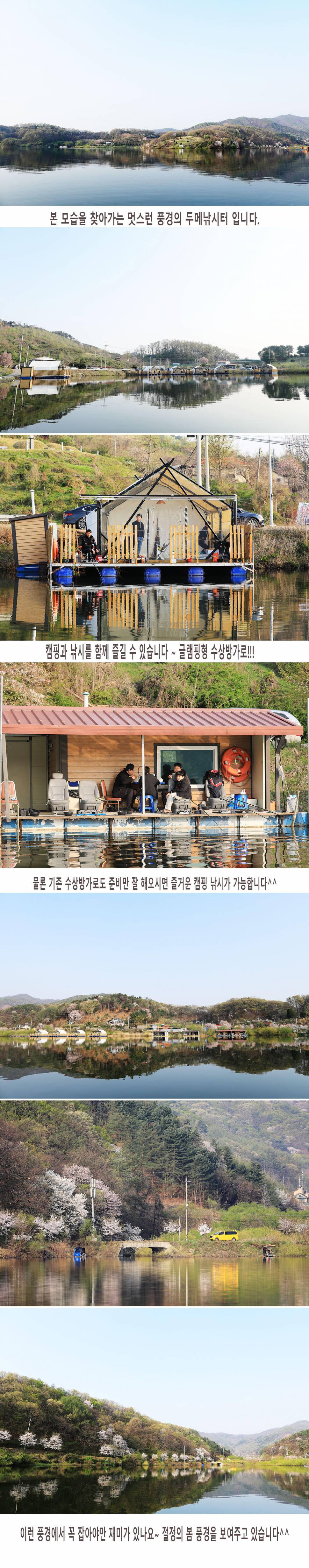 안성 두메낚시터 4월11일 조황안내 (유료터정보 - 유료터점주조황)