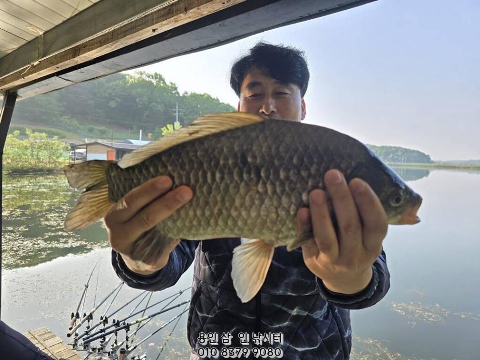 가깝고 물 좋고 경치 좋은 곳용인삼인낚시터 (유료터정보 - 유료터점주조황)