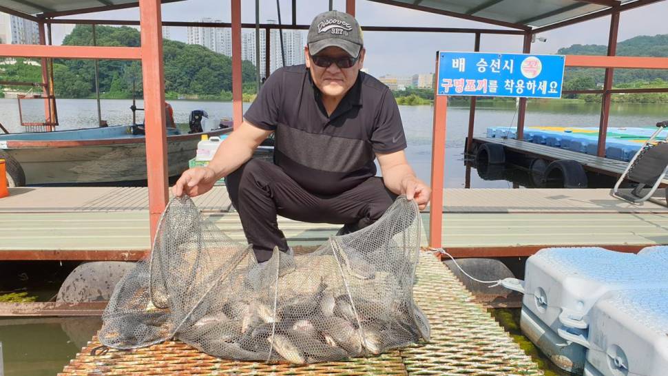 아산 명품 월랑낚시터 7월 마지막 조황이야기입니다 (유료터정보 - 유료터점주조황)