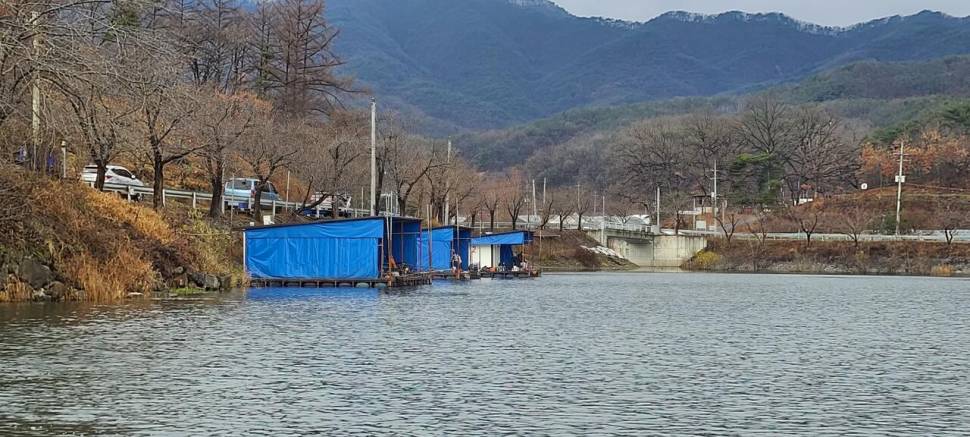 공주 고성낚시터 입니다 (유료터정보 - 유료터점주조황)