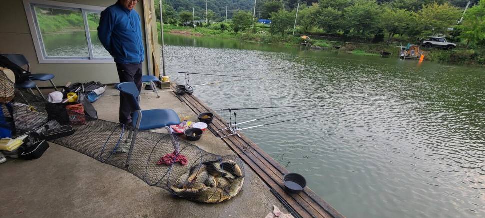 9월첫주말 양평 힐링 수곡낚시터 금토 조과차이가 많았네요 (유료터정보 - 유료터점주조황)