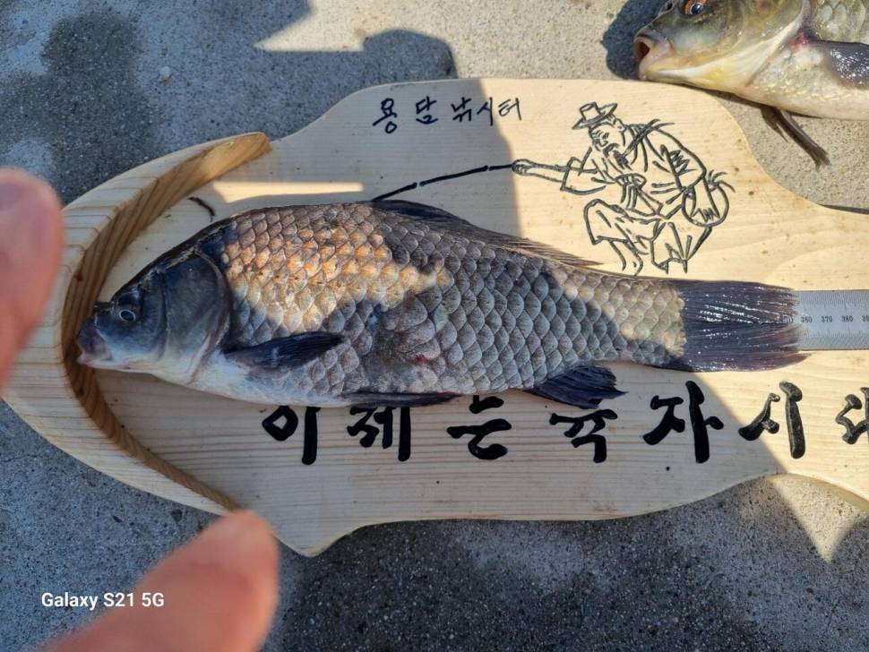 2024년 05월 둘째주 조황정보 용담낚시터사암지 (유료터정보 - 유료터점주조황)