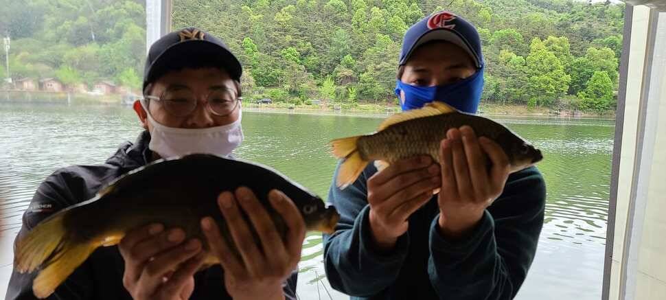 양평 수곡 낚시터 붕어 활성도가 좀더 좋아지는거 같네요 오늘도 붕어방류 합니다 (유료터정보 - 유료터점주조황)